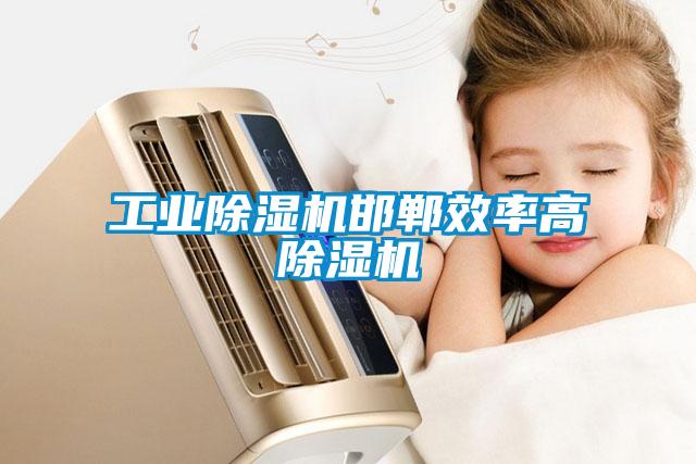 国产精品探花在线观看 工业除湿机邯郸效率高除湿机