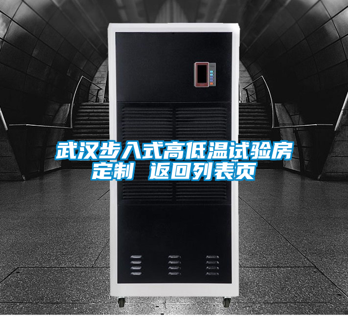 国产精品三级在线观看 武汉步入式高低温试验房定制 返回列表页