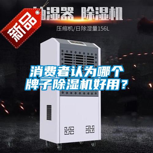 国产精品探花在线观看 消费者认为哪个牌子除湿机好用？