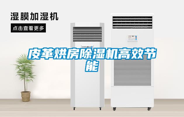 国产精品三级在线观看 皮革烘房除湿机高效节能