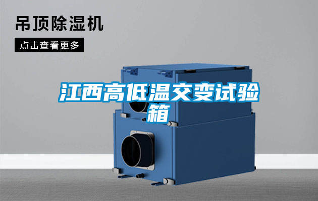 国产精品探花在线观看 江西高低温交变试验箱