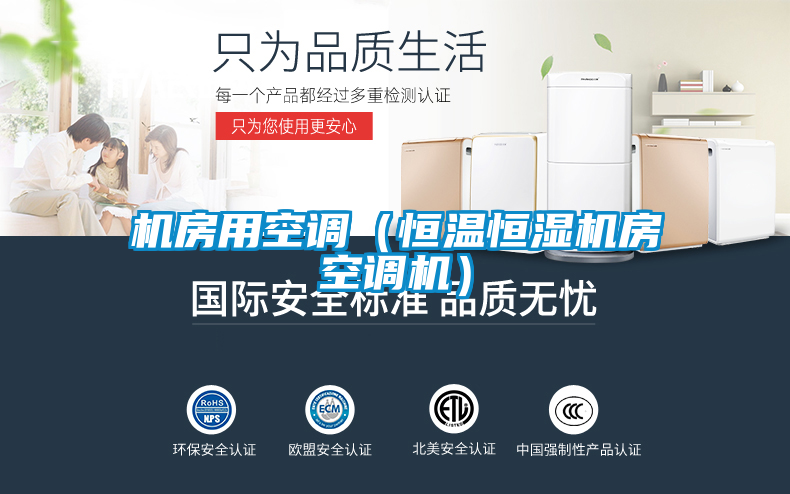 国产精品欧美激情视频 机房用空调（恒温恒湿机房空调机）