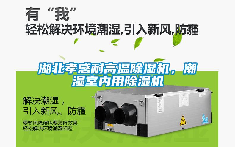 国产精品三级在线观看 湖北孝感耐高温除湿机，潮湿室内用除湿机