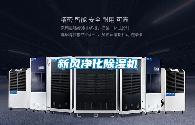国产精品三级在线观看 新风净化除湿机