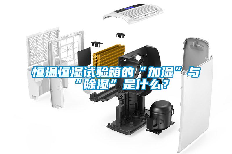 国产精品三级在线观看 恒温恒湿试验箱的“加湿”与“除湿”是什么？