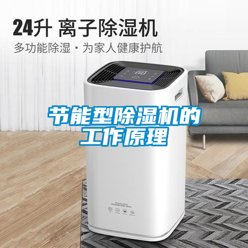 国产精品欧美激情视频 节能型除湿机的工作原理