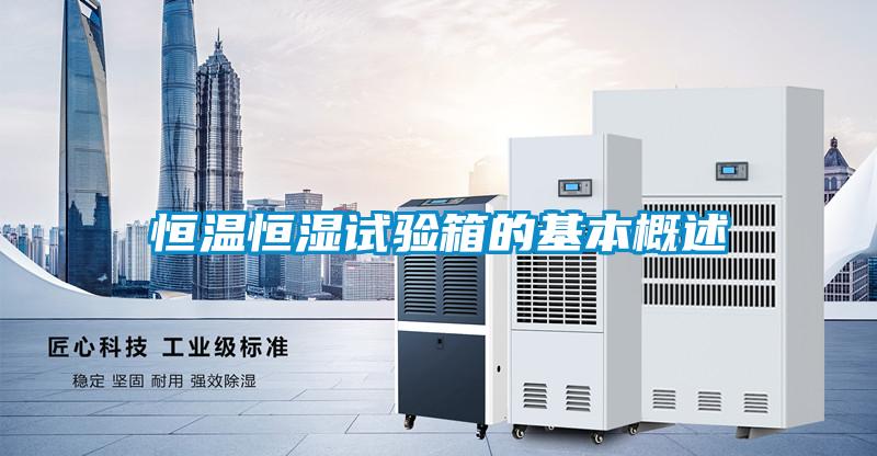 国产精品三级在线观看 恒温恒湿试验箱的基本概述