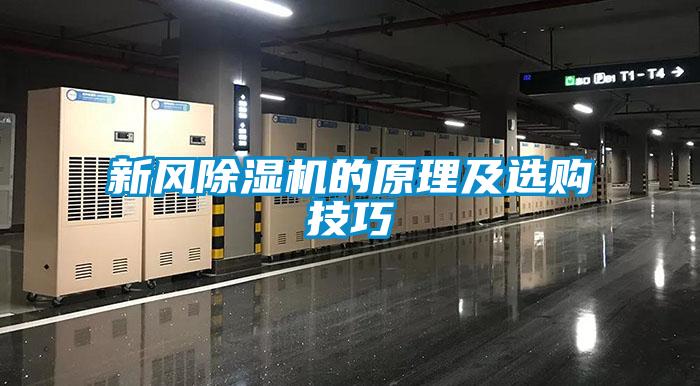 国产精品探花在线观看 新风除湿机的原理及选购技巧
