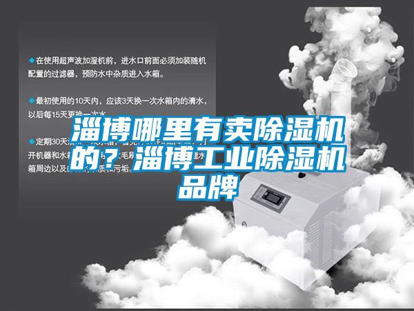 国产精品三级在线观看 淄博哪里有卖除湿机的？淄博工业除湿机品牌