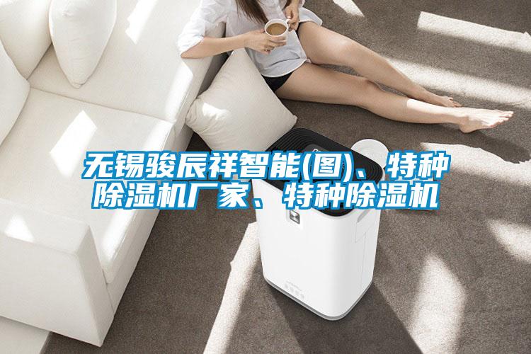 国产精品欧美激情视频 无锡骏辰祥智能(图)、特种除湿机厂家、特种除湿机