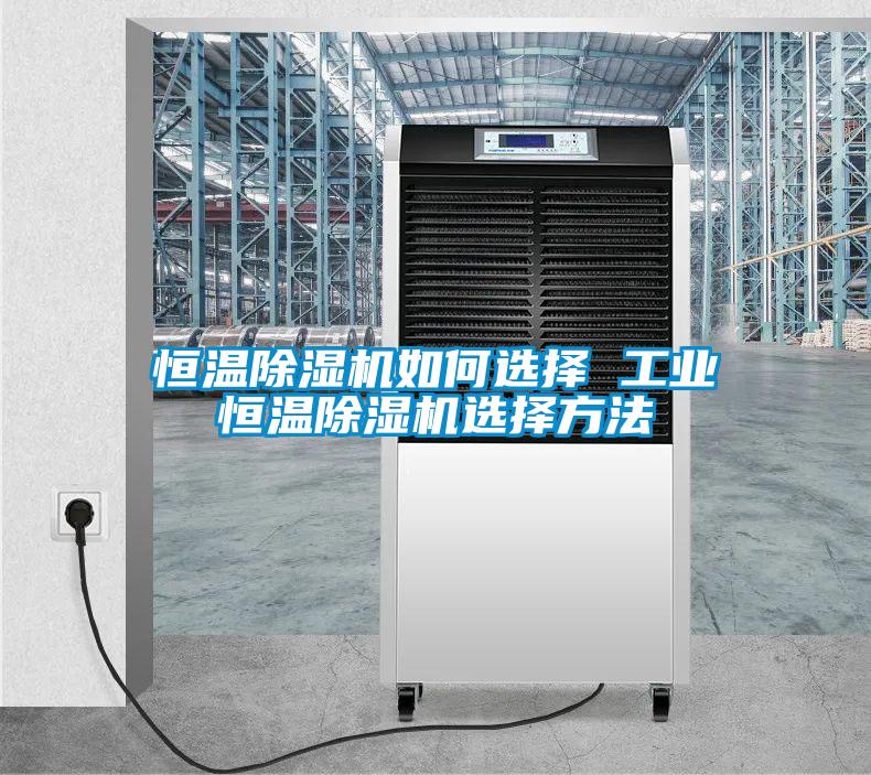 国产精品探花在线观看 恒温除湿机如何选择 工业恒温除湿机选择方法