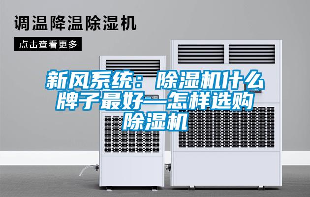 国产精品探花在线观看 新风系统：除湿机什么牌子最好—怎样选购除湿机