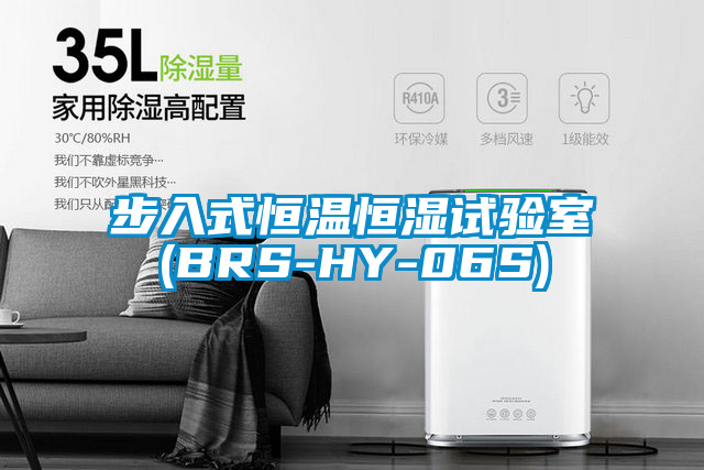 国产精品三级在线观看 步入式恒温恒湿试验室(BRS-HY-06S)