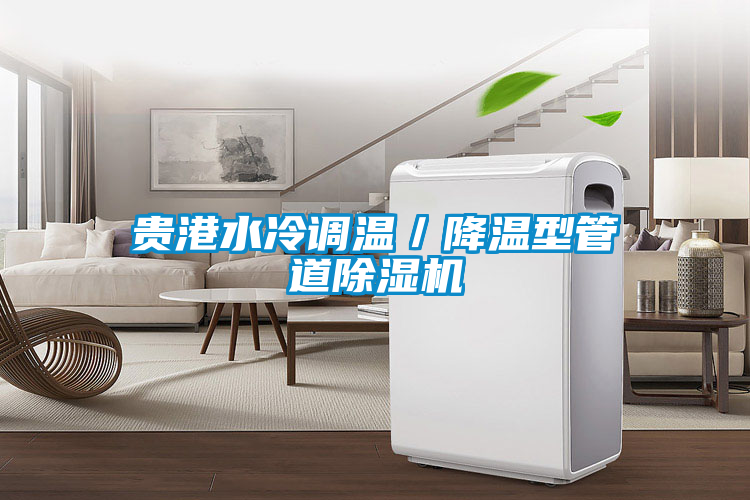 国产精品三级在线观看 贵港水冷调温／降温型管道除湿机