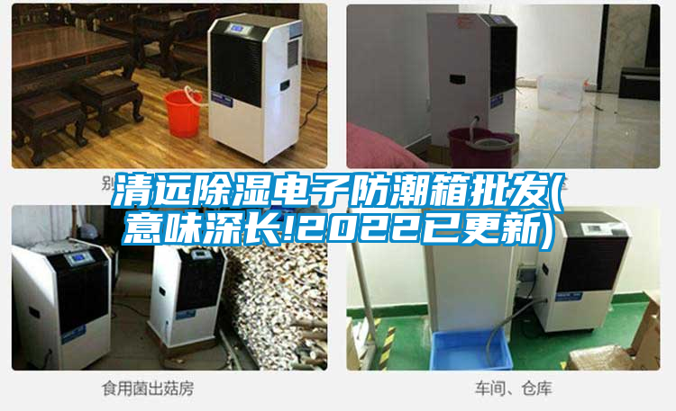 国产精品探花在线观看 清远除湿电子防潮箱批发(意味深长!2022已更新)