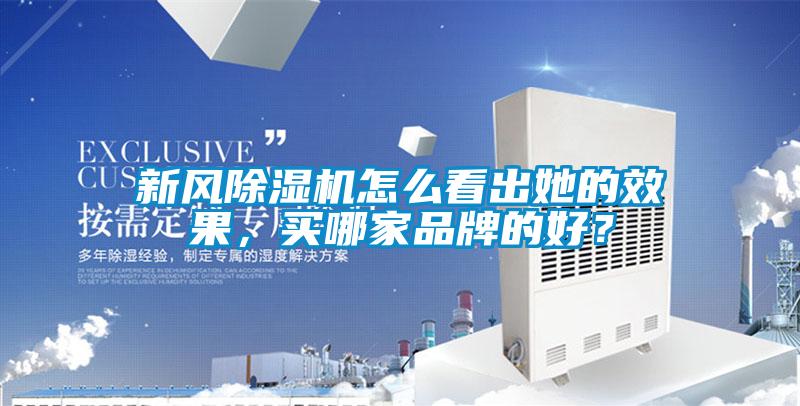 国产精品探花在线观看 新风除湿机怎么看出她的效果，买哪家品牌的好？