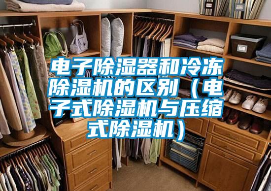 国产精品欧美激情视频 电子除湿器和冷冻除湿机的区别（电子式除湿机与压缩式除湿机）