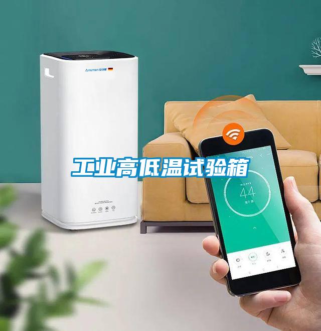 国产精品三级在线观看 工业高低温试验箱