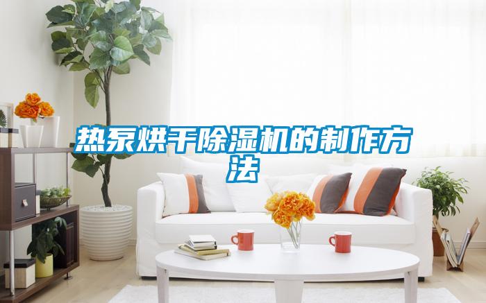 国产精品欧美激情视频 热泵烘干除湿机的制作方法