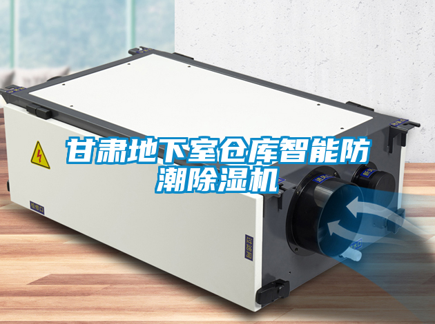 国产精品欧美激情视频 甘肃地下室仓库智能防潮除湿机