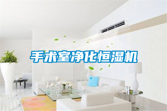 国产精品三级在线观看 手术室净化恒湿机