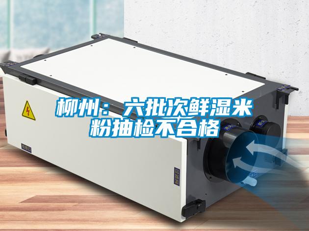 国产精品欧美激情视频 柳州：六批次鲜湿米粉抽检不合格