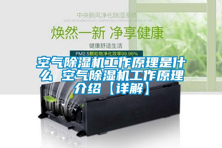 国产精品探花在线观看 空气除湿机工作原理是什么 空气除湿机工作原理介绍【详解】