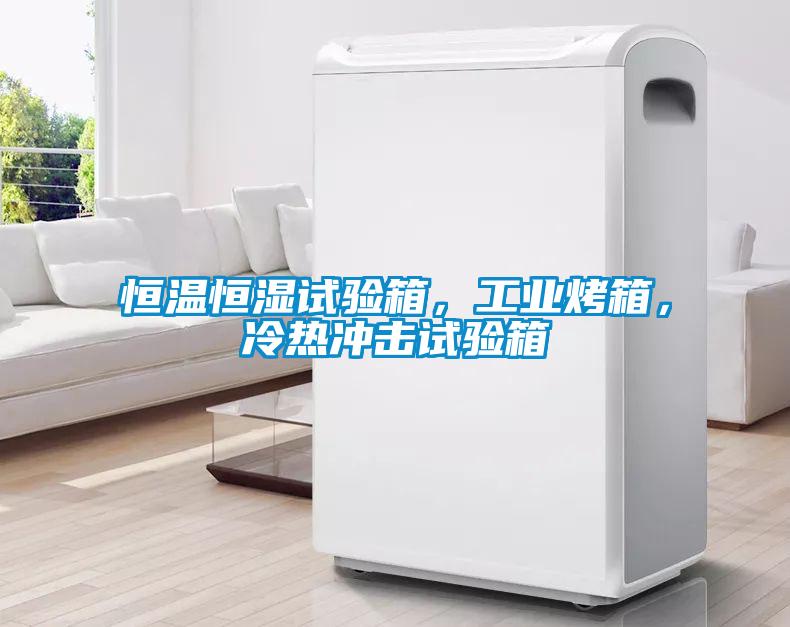 国产精品探花在线观看 恒温恒湿试验箱，工业烤箱，冷热冲击试验箱