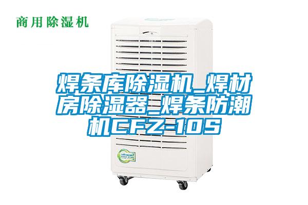 国产精品欧美激情视频 焊条库除湿机_焊材房除湿器_焊条防潮机CFZ-10S