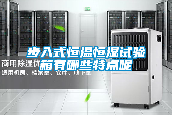 国产精品欧美激情视频 步入式恒温恒湿试验箱有哪些特点呢
