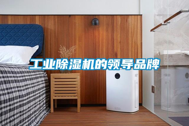 国产精品欧美激情视频 工业除湿机的领导品牌