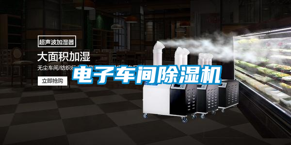 国产精品欧美激情视频 电子车间除湿机