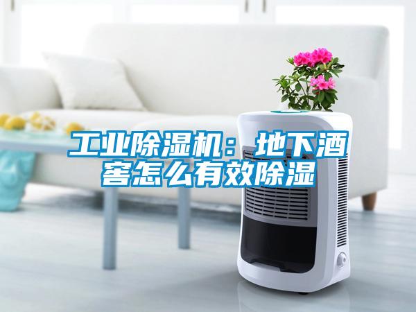 国产精品探花在线观看 工业除湿机：地下酒窖怎么有效除湿