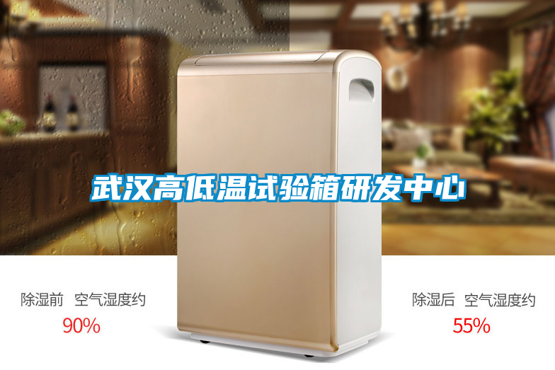 国产精品欧美激情视频 武汉高低温试验箱研发中心