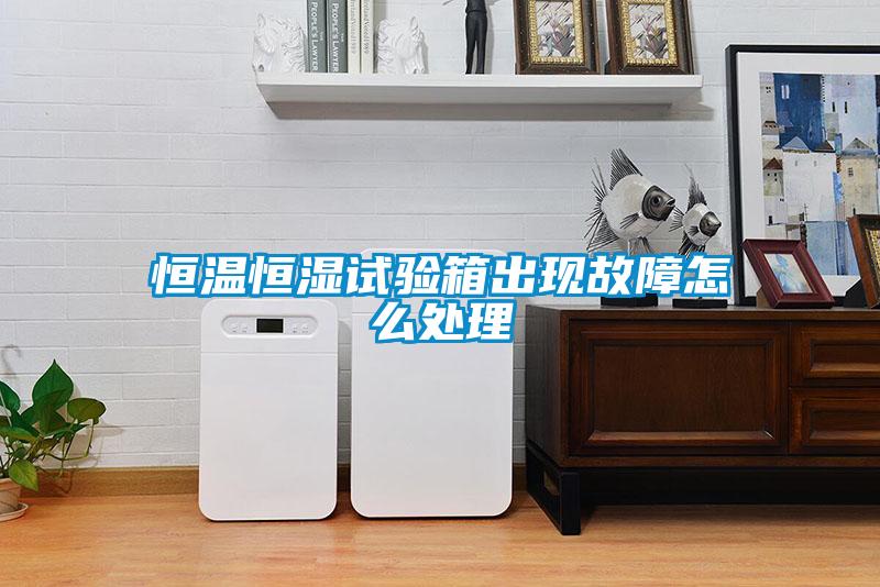 国产精品探花在线观看 恒温恒湿试验箱出现故障怎么处理