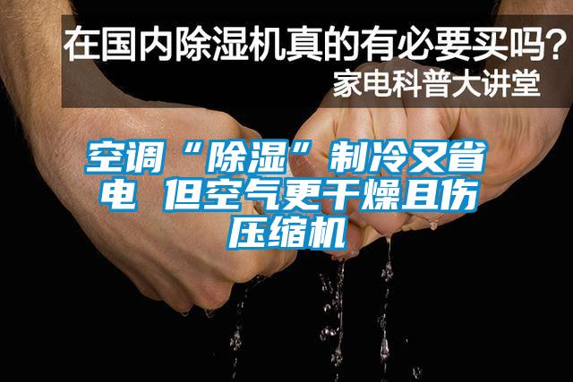 国产精品欧美激情视频 空调“除湿”制冷又省电 但空气更干燥且伤压缩机