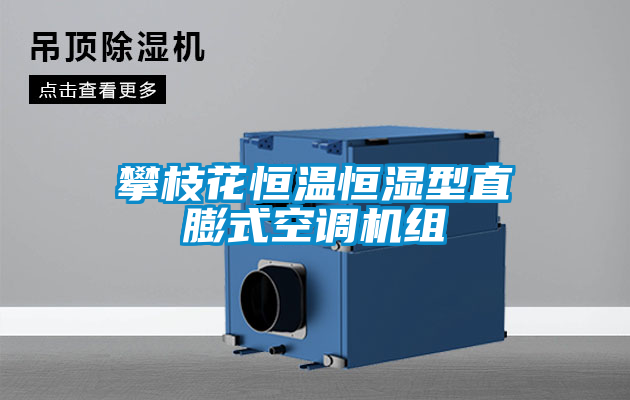国产精品探花在线观看 攀枝花恒温恒湿型直膨式空调机组