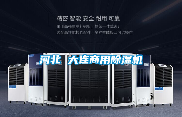 国产精品欧美激情视频 河北 大连商用除湿机