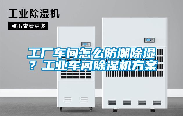 国产精品欧美激情视频 工厂车间怎么防潮除湿？工业车间除湿机方案