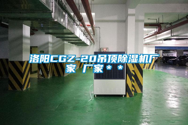 国产精品三级在线观看 洛阳CGZ-20吊顶除湿机厂家 厂家＊＊