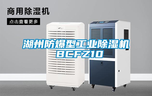国产精品探花在线观看 湖州防爆型工业除湿机 BCFZ10
