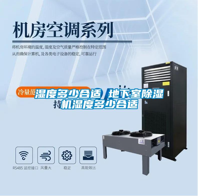 国产精品欧美激情视频 湿度多少合适 地下室除湿机湿度多少合适
