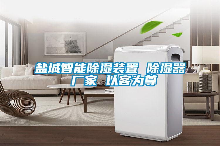 国产精品欧美激情视频 盐城智能除湿装置 除湿器 厂家 以客为尊