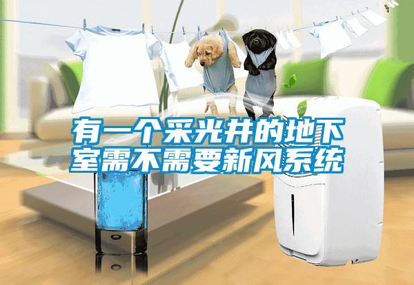 国产精品欧美激情视频 有一个采光井的地下室需不需要新风系统