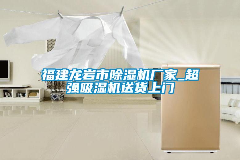 国产精品欧美激情视频 福建龙岩市除湿机厂家_超强吸湿机送货上门