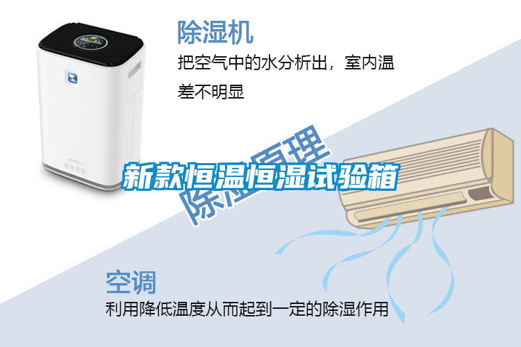 国产精品欧美激情视频 新款恒温恒湿试验箱