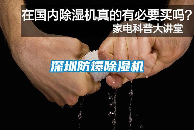 国产精品三级在线观看 深圳防爆除湿机