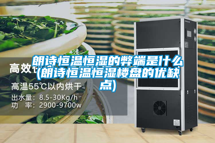 国产精品三级在线观看 朗诗恒温恒湿的弊端是什么(朗诗恒温恒湿楼盘的优缺点)