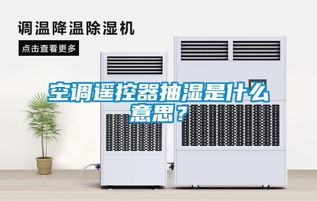 国产精品三级在线观看 空调遥控器抽湿是什么意思？