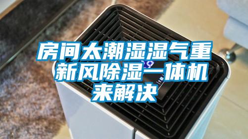 国产精品欧美激情视频 房间太潮湿湿气重 新风除湿一体机来解决